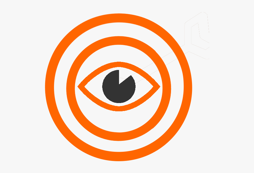 Vision